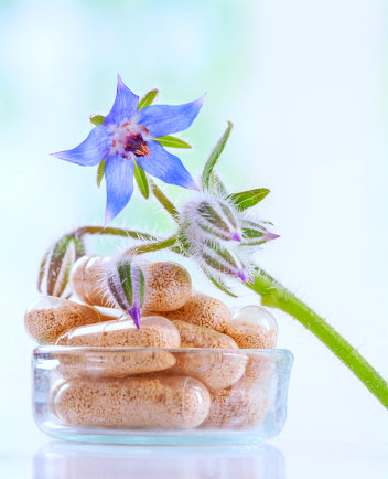 Medicine capsules with a herbal plant